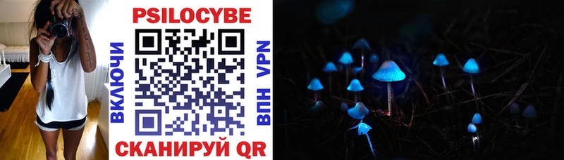 Купить закладки  Дорогобуж  Псилоцибиновые грибы Cubensis 